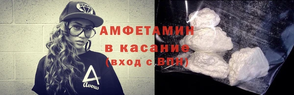 индика Каменка