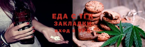 индика Каменка