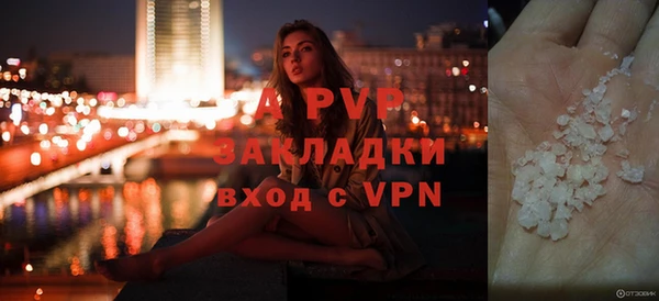 индика Каменка