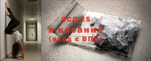индика Каменка