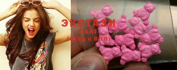 индика Каменка