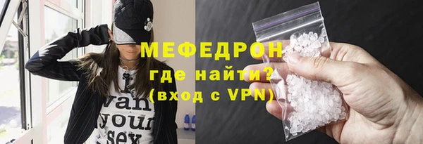 индика Каменка