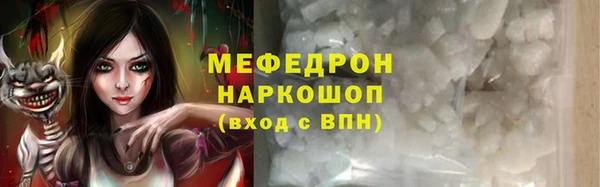 индика Каменка