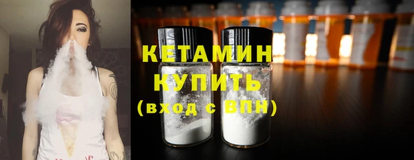 индика Каменка