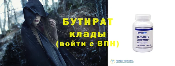 индика Каменка