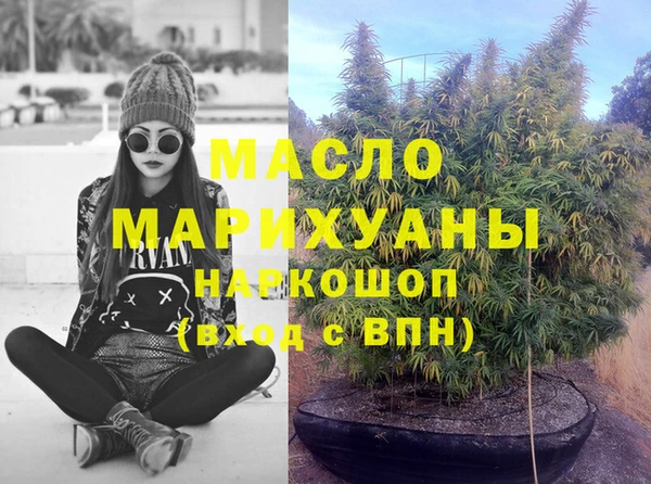 индика Каменка