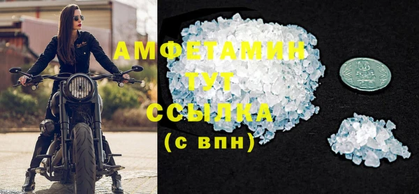 индика Каменка