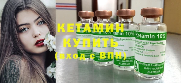 индика Каменка