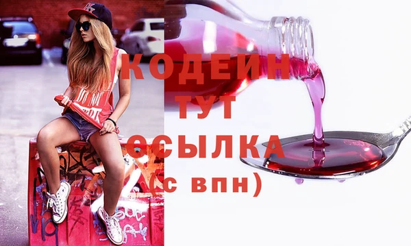 индика Каменка