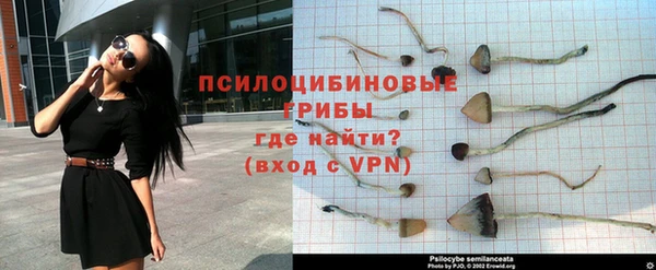 a pvp Каменск-Шахтинский