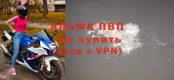 индика Каменка