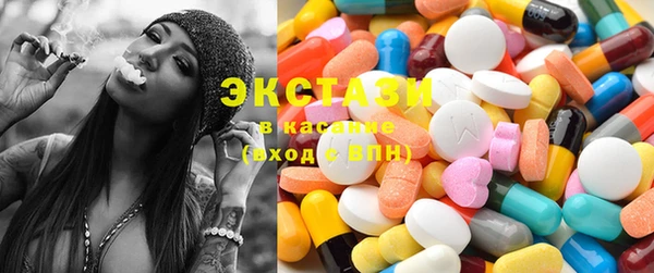 индика Каменка