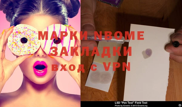 индика Каменка